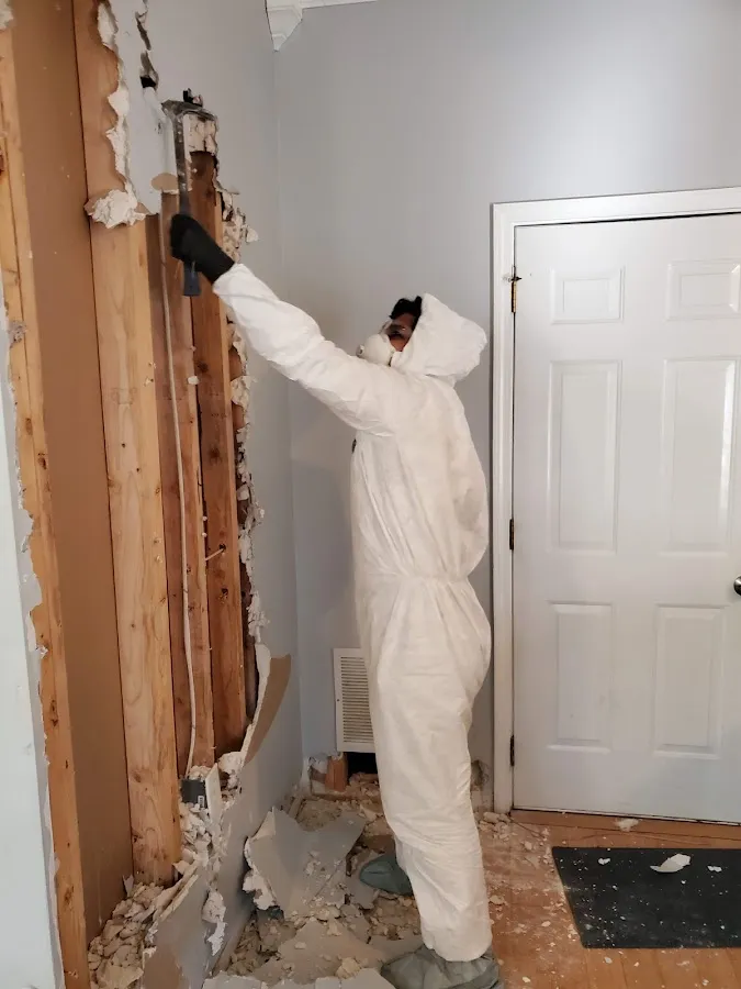 Mold Inspection & Testing in Chester, NH